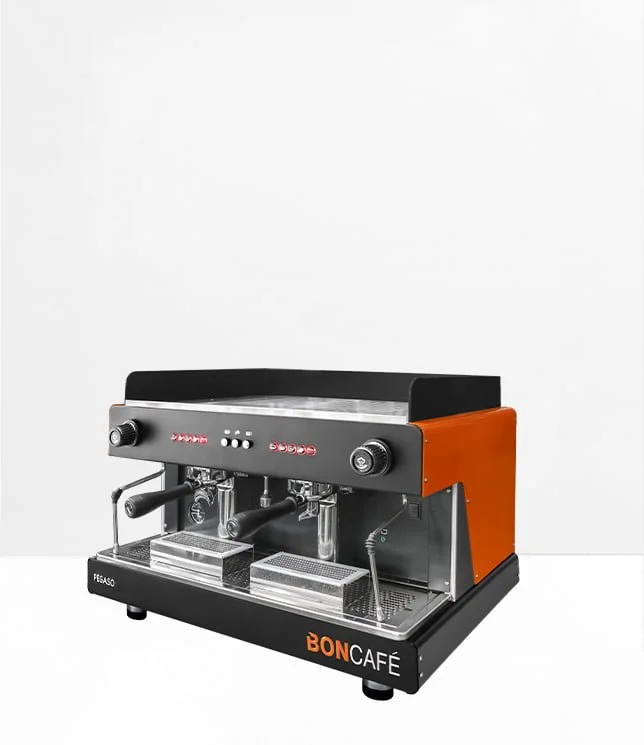 Wega pegaso 2 online group