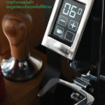 เครื่องบดกาแฟ ยูเรก้า รุ่น มินยอง สเปเชียลลิต้า 55 / Eureka Mignon Specialita 55