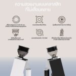 Eureka Mignon Pisa 65 Grinder